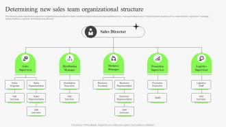 Determining New Sales Team Organizational Structure Identifying Risks In Sales Management Process