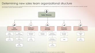 Determining New Sales Team Organizational Structure Transferring Sales Risks With Action Plan
