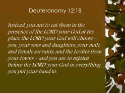 Deuteronomy 12 18 you are to rejoice before powerpoint church sermon