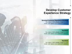 Develop customer experience strategy ppt powerpoint presentation inspiration vector cpb
