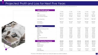 Develop good company strategy for financial growth projected profit and loss for next five years