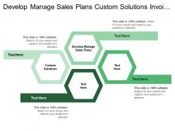 Develop manage sales plans custom solutions invoice customer