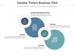 Develop perfect business pitch ppt powerpoint presentation model files cpb
