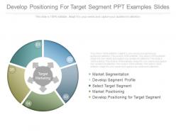 Develop Positioning For Target Segment Ppt Examples Slides