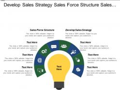 Develop sales strategy sales force structure sales infrastructure