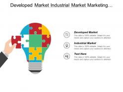 Developed market industrial market marketing strategy learning growth