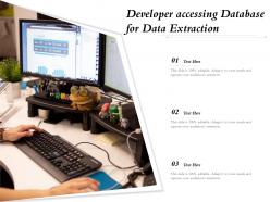 Developer Accessing Database For Data Extraction