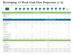 Developing 13 week cash flow projection 1 2 amortization ppt powerpoint presentation inspiration