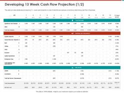 Developing 13 week cash flow projection m797 ppt powerpoint presentation file layout ideas