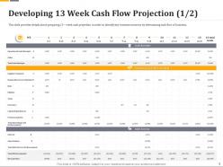 Developing 13 week cash flow projection payments ppt file slides