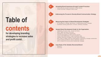 Developing Branding Strategies To Increase Sales And Profit Powerpoint Presentation Slides Analytical Compatible