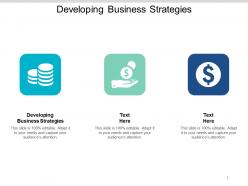 Developing business strategies ppt powerpoint presentation styles good cpb