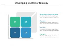 Developing customer strategy ppt powerpoint presentation icon cpb