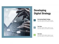 Developing digital strategy ppt powerpoint presentation styles icon cpb