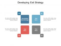 Developing exit strategy ppt powerpoint presentation visual aids files cpb