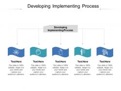 Developing implementing process ppt powerpoint presentation summary rules cpb