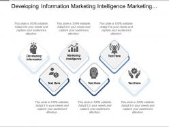 Developing information marketing intelligence marketing decision support analysis