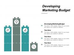 Developing marketing budget ppt powerpoint presentation portfolio background cpb