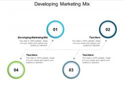 Developing marketing mix ppt powerpoint presentation file shapes cpb