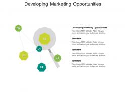 Developing marketing opportunities ppt powerpoint presentation summary infographics cpb