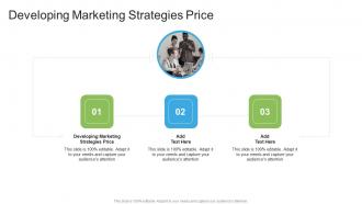 Developing Marketing Strategies Price In Powerpoint And Google Slides Cpb