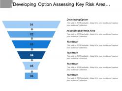 Developing Option Assessing Key Risk Area Identifying Issues