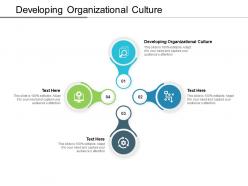 Developing organizational culture ppt powerpoint presentation icon cpb