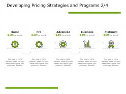 Developing pricing strategies and programs technology platinum ppt powerpoint presentation summary