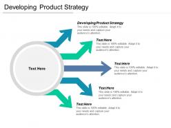 Developing product strategy ppt powerpoint presentation file templates cpb
