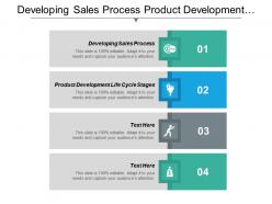 Developing sales process product development life cycle stages cpb