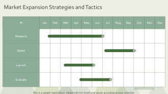 Developing Strategic Growth Initiatives PPT Example AT Compatible Captivating