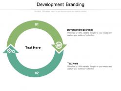 Development branding ppt powerpoint presentation summary samples cpb