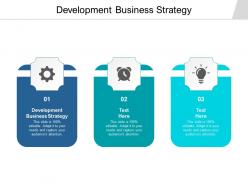 Development business strategy ppt powerpoint presentation icon images cpb