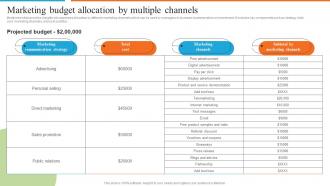 Development Of Effective Marketing Budget Allocation By Multiple Channels
