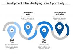 Development plan identifying new opportunity formulation marketing strategy