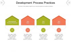 Development process practices ppt powerpoint presentation styles samples cpb