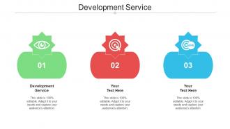 Development Service Ppt Powerpoint Presentation Slides Graphics Cpb