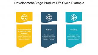 Development stage product life cycle example ppt powerpoint presentation summary cpb