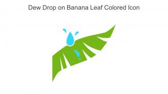 Dew Drop On Banana Leaf Colored Icon In Powerpoint Pptx Png And Editable Eps Format