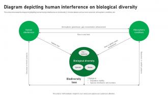 Diagram Depicting Human Interference On Biological Diversity