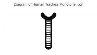 Diagram Of Human Trachea Monotone Icon In Powerpoint Pptx Png And Editable Eps Format