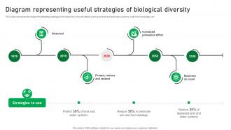 Diagram Representing Useful Strategies Of Biological Diversity