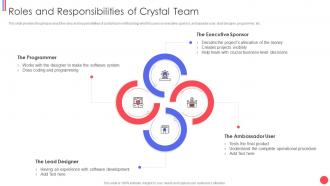 Different agile methods roles and responsibilities of crystal team