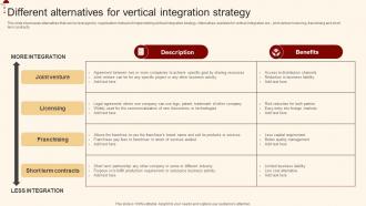 Different Alternatives For Vertical Integration Merger And Acquisition For Horizontal Strategy SS V
