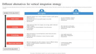 Different Alternatives For Vertical Integration Strategy Business Integration Strategy Strategy SS V