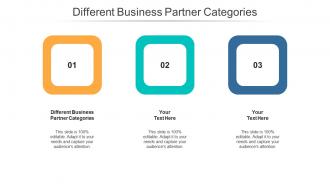 Different business partner categories ppt powerpoint presentation model graphics cpb