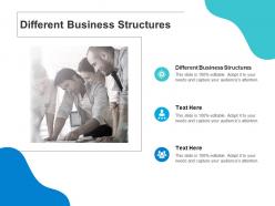 Different business structures ppt powerpoint presentation layouts clipart cpb