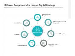 Different components for human capital strategy