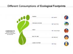 Different consumptions of ecological footprints