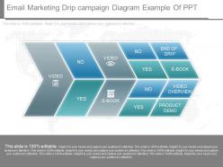 Different email marketing drip campaign diagram example of ppt